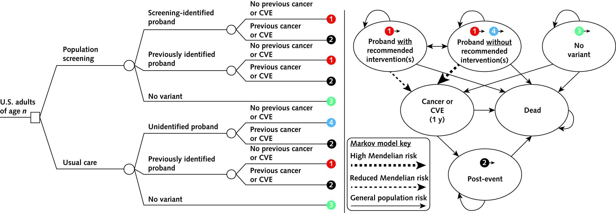 Figure 1. Conceptual diagram of decision analytic model structure showing identification of a variant, receipt of recommended interventions, and clinical events